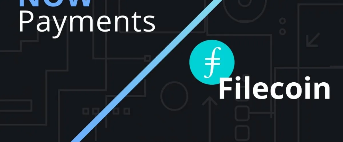 Experience the Thrill of FIL