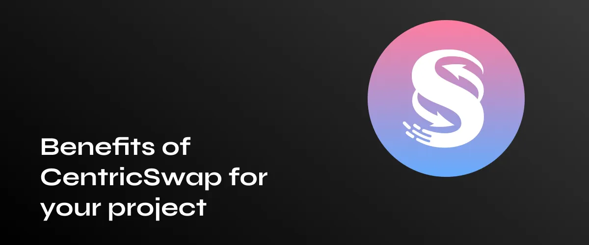 Maximize Your Business Growth with Centric Swap