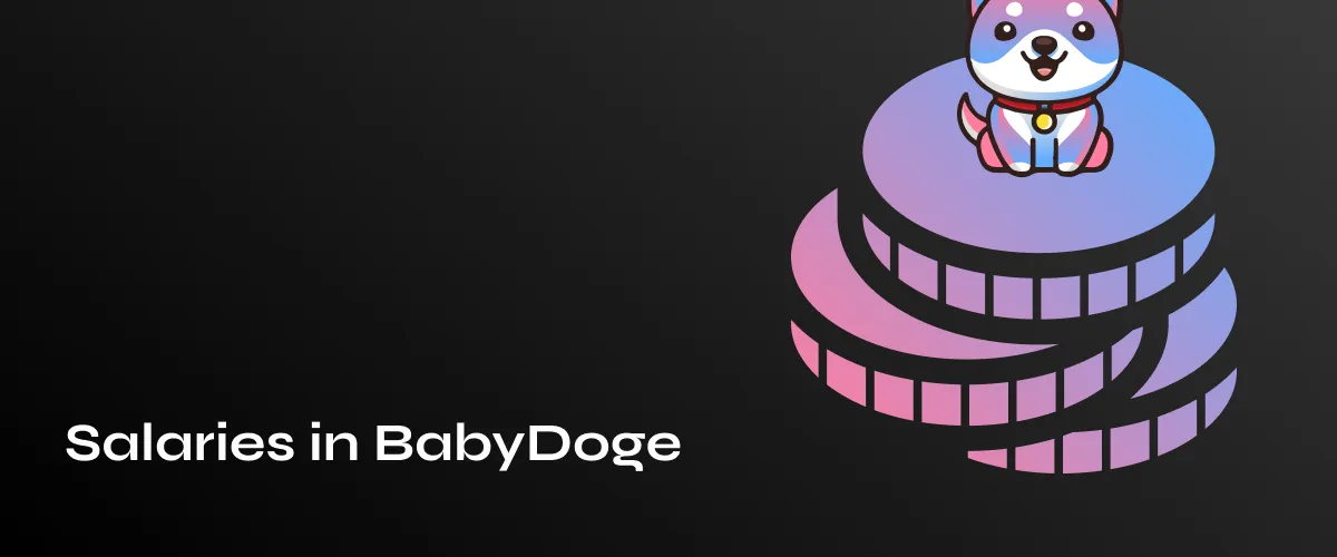 BabyDoge Salary Insights: What You Need to Know